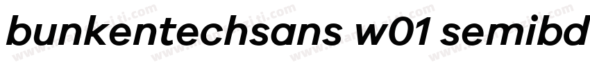 bunkentechsans w01 semibdit字体转换